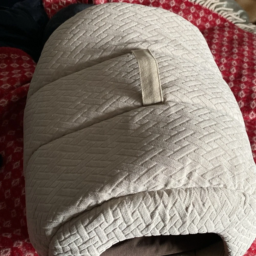 Best Friends Carry Quilted Pet House With Removable Mattress Never Used